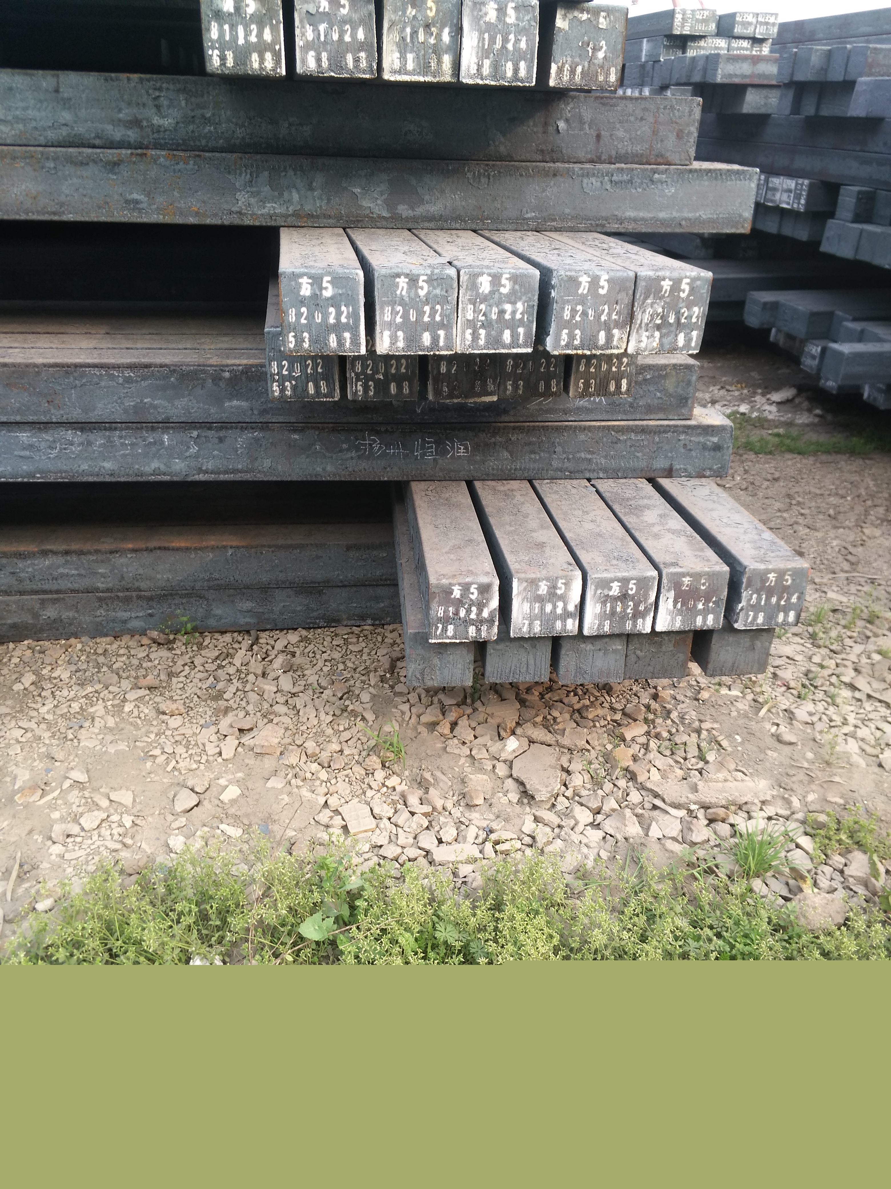 供50# 55#方坯 現貨