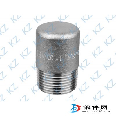 供應各種熱銷高壓不銹鋼鍛件