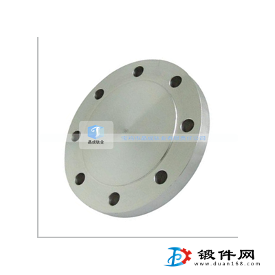 供應(yīng)TA2盲板