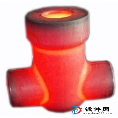 供應電站用閥體