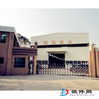 生產軸瓦鍛件,變速器殼體,撥叉鍛件傳動齒輪鍛件,齒輪油泵鍛件