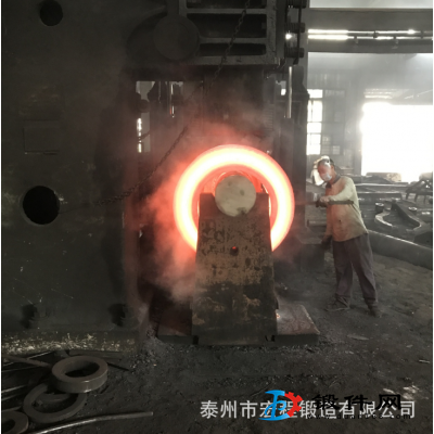 供應(yīng)不銹鋼S32168高頸法蘭毛坯