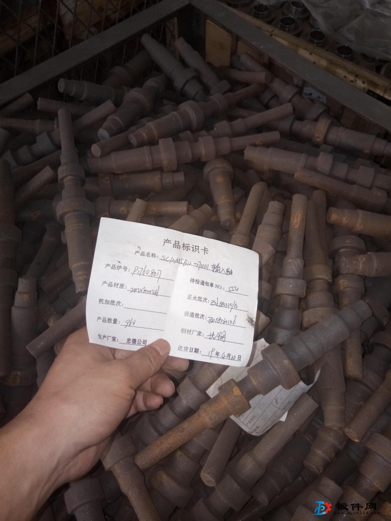 軸類，盤齒類的鍛件及精坯