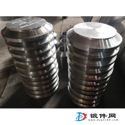 端蓋，法蘭蓋，管接頭，接管等壓力容器鍛件