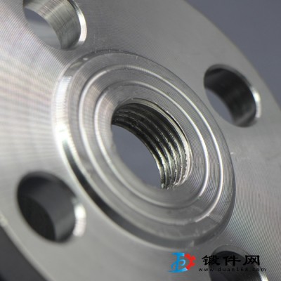 生產定做A182 Hastelloy G-3鍛件 鍛環 法蘭