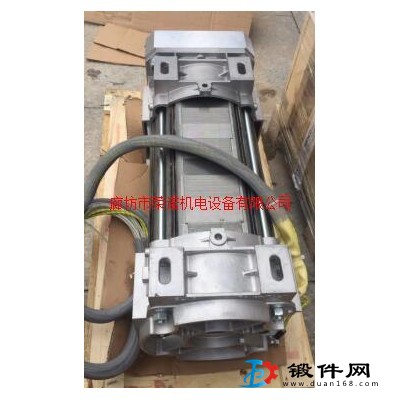 意大利進(jìn)口 45KW油侵式電機(jī)