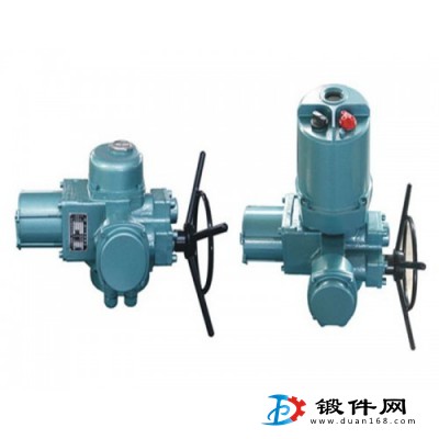 智能調節型電動裝置Q40-1W/T