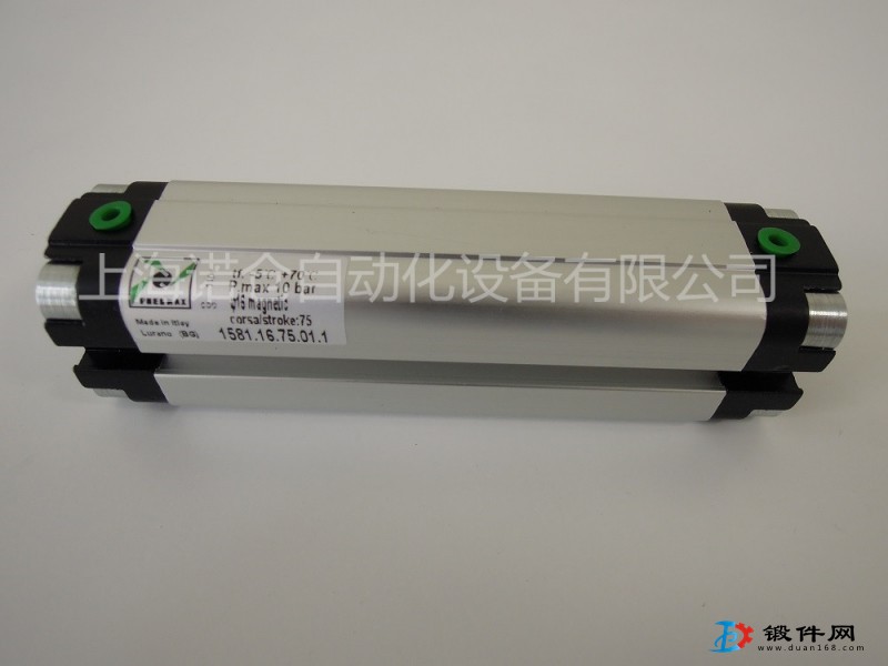 1581.12.80.01.1  PNEUMAX歐標薄型氣缸