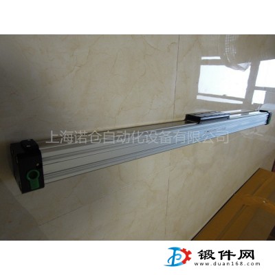 1605.25.900.01.M  PNEUMAX無桿氣缸