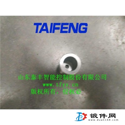 TLC025DB20G閥芯-山東泰豐智能