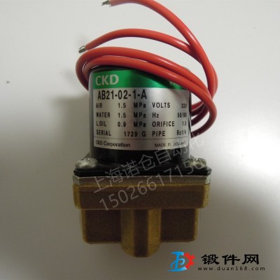 AB31-01-4-AC220V/Z   CKD兩通閥