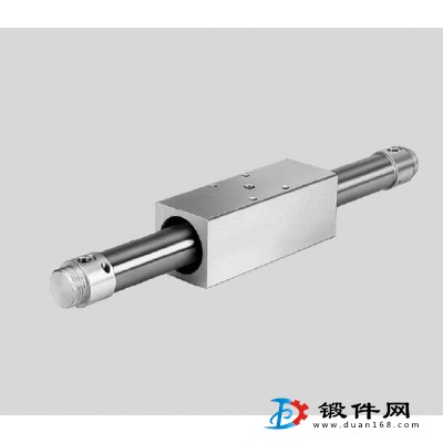 DGO-12-350-PPV-A-B  FESTO無桿氣缸