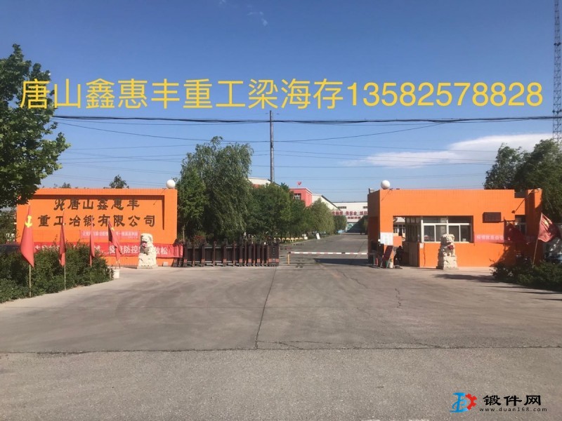 模具鋼：鍛件：鑄件：鋼錠