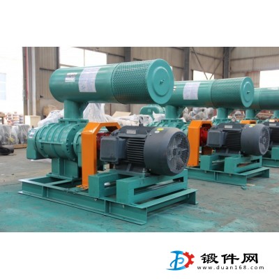 山東瑞拓鼓風機RTSR系列羅茨鼓風機