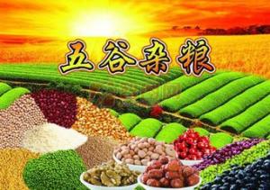 2016北京大米雜糧博覽