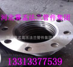 滄州-鍛打法蘭 河北冀