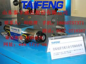 山東泰豐剪板機(jī)折彎機(jī)行業(yè)閥塊系列